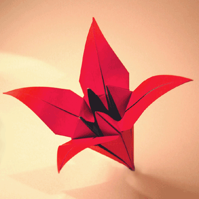 Picturelily Flower on Completed Lily Browse Other Models Like The Origami Lily