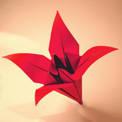 Origami Lily