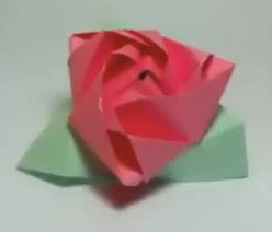 Magic Cube Rose, by Valerie Vann
