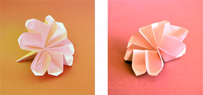 Step by Step Origami Flower Folding Guide