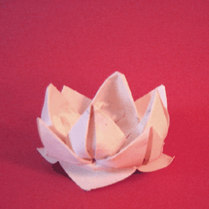 Modular Origami Lotus Flower