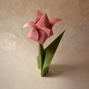 Mother's Day Origami Tulip Paper Craft (teacher made)