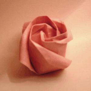 Origami Rose Instructions