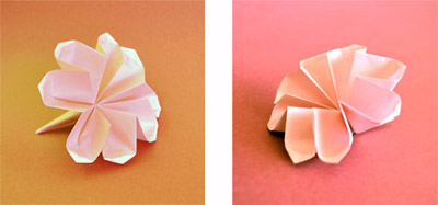Origami Flower Video Instructions