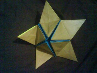 revealed star flower close