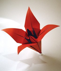 Origami Lily - picture borrowed from www.origami-fun.com