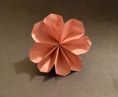 8-petal flower