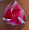 My magic cube rose with fluffed out petals!