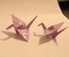 Some origami cranes