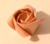 This is an example of a Kawasaki rose