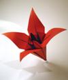 Origami Lily - picture borrowed from www.origami-fun.com