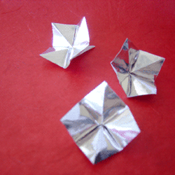 Silver Star Flowers